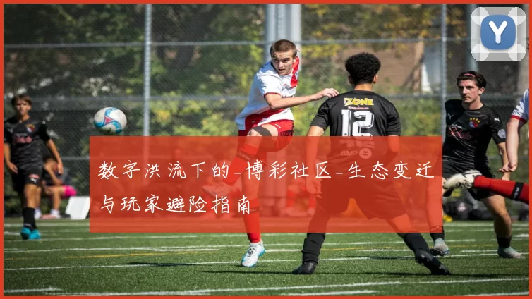 数字洪流下的_博彩社区_生态变迁与玩家避险指南