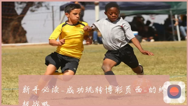 新手必读_成功玩转博彩页面_的终极战略