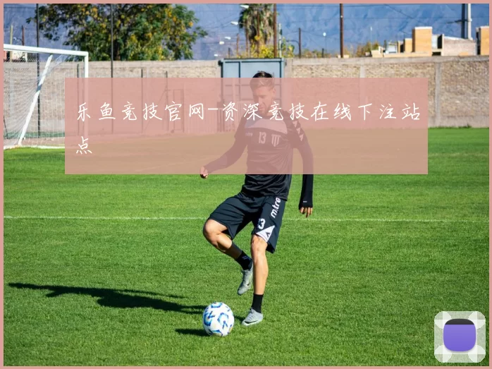 乐鱼竞技官网-资深竞技在线下注站点