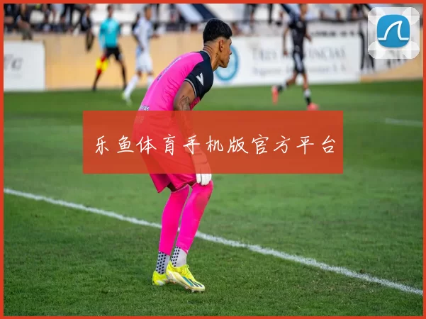 乐鱼体育手机版官方平台