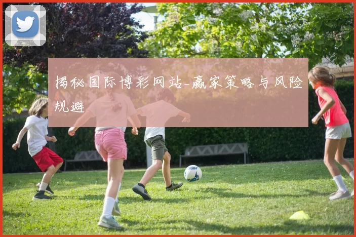 揭秘国际博彩网站_赢家策略与风险规避