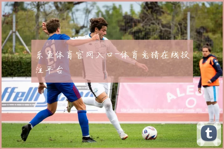 乐鱼体育官网入口-体育竞猜在线投注平台
