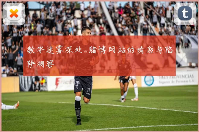 数字迷雾深处_赌博网站的诱惑与陷阱洞察