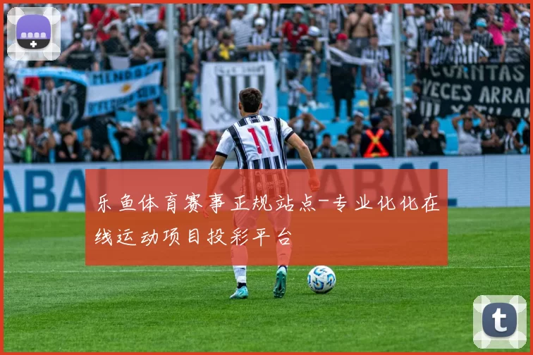 乐鱼体育赛事正规站点-专业化化在线运动项目投彩平台