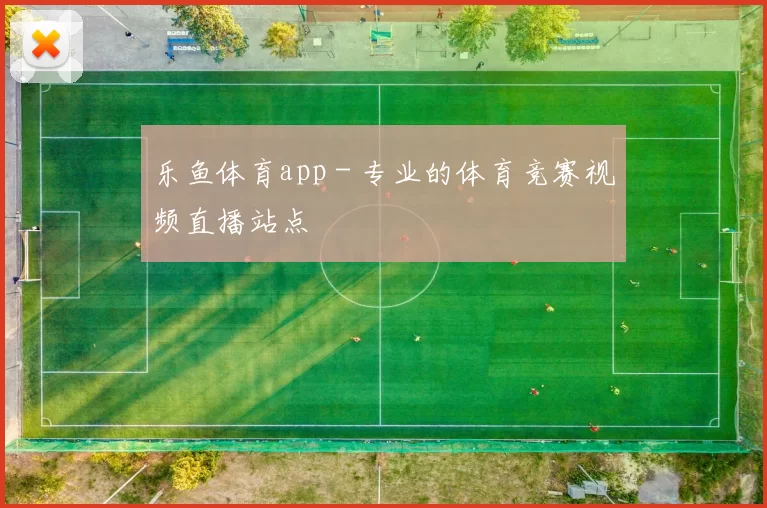 乐鱼体育app - 专业的体育竞赛视频直播站点