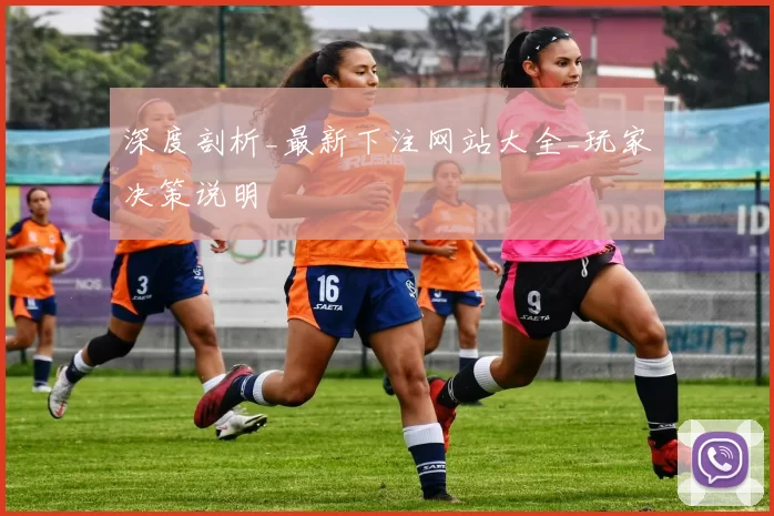深度剖析_最新下注网站大全_玩家决策说明