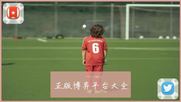 正版博弈平台大全