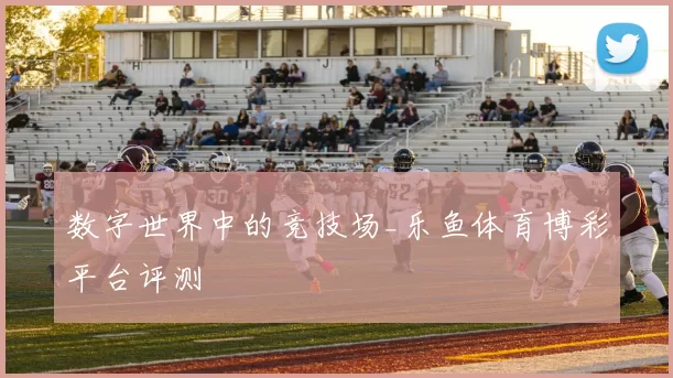 数字世界中的竞技场_乐鱼体育博彩平台评测