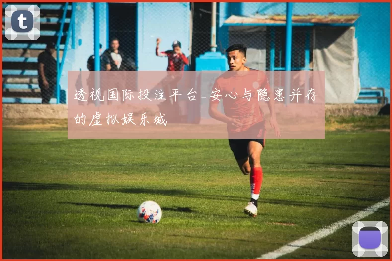 透视国际投注平台_安心与隐患并存的虚拟娱乐城