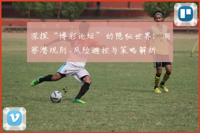 深探“博彩论坛”的隐秘世界：洞察潜规则_风险避控与策略解析