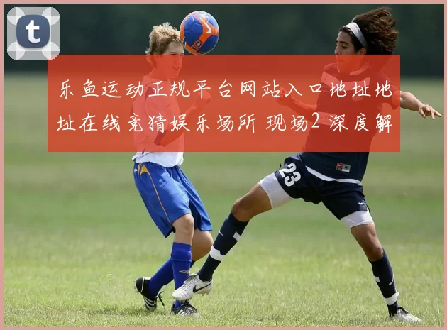 乐鱼运动正规平台网站入口地址地址在线竞猜娱乐场所 现场2 深度解析