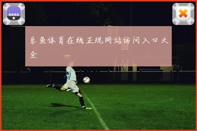 乐鱼体育在线正规网站访问入口大全