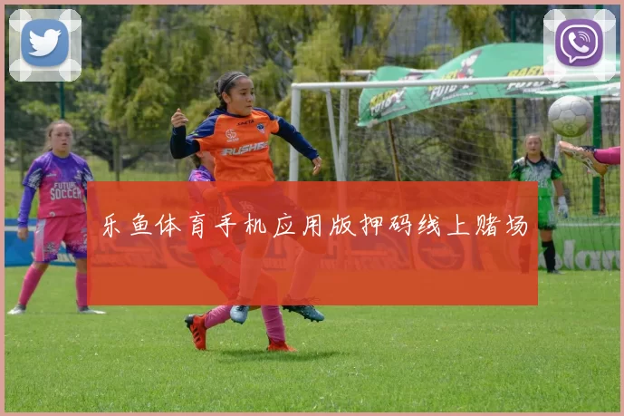 乐鱼体育手机应用版押码线上赌场