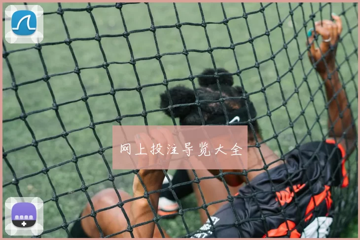 网上投注导览大全