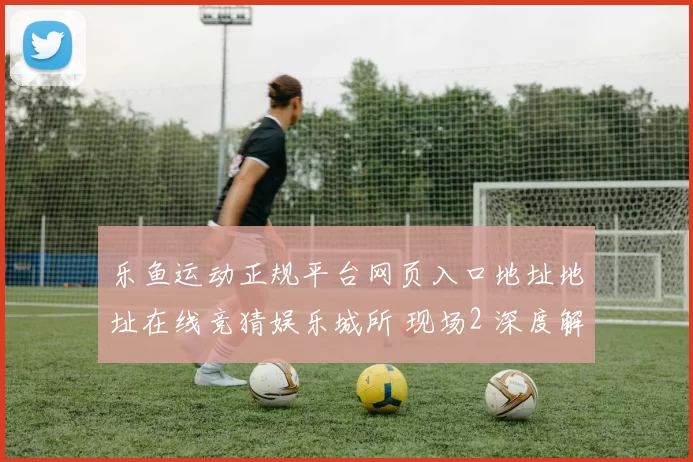 乐鱼运动正规平台网页入口地址地址在线竞猜娱乐城所 现场2 深度解析